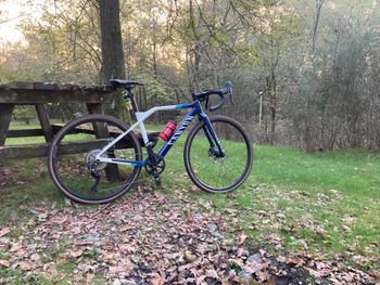 Canyon, Inflite CF SL 6 2021