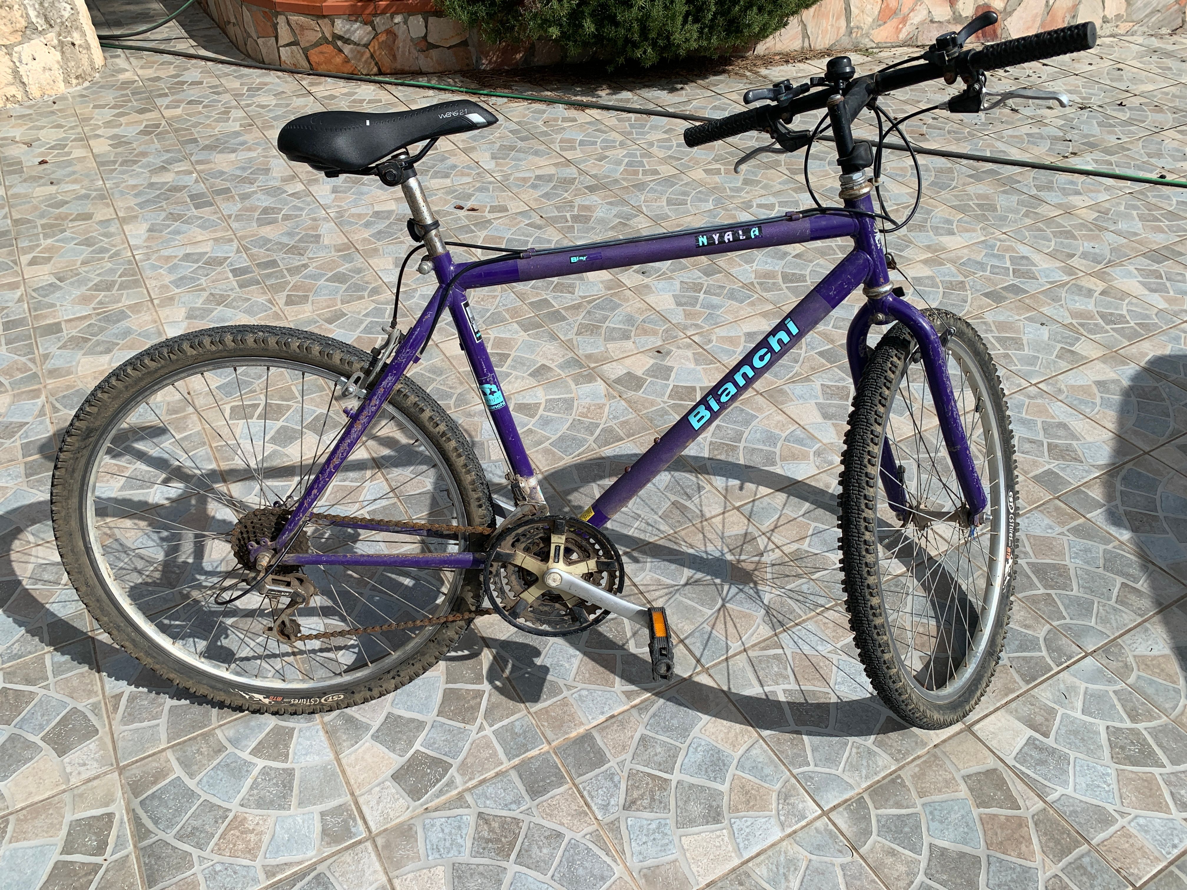 Bianchi Nyala 2000