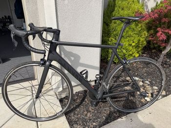Canyon, Ultimate CF SL 8.0 2020