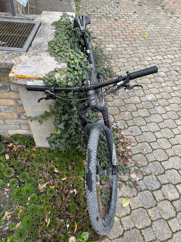 Used Trek Procaliber 9.8 SL 2018 2018 Mountainbike, Light Gray, 27.5, 29 — image 2 of 14