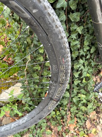 Used Trek Procaliber 9.8 SL 2018 2018 Mountainbike, Light Gray, 27.5, 29 — image 14 of 14