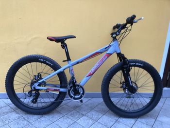 LOMBARDO, Lombardo Mozia 24