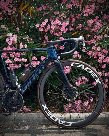 Giant, Propel Advanced SL 0 2023