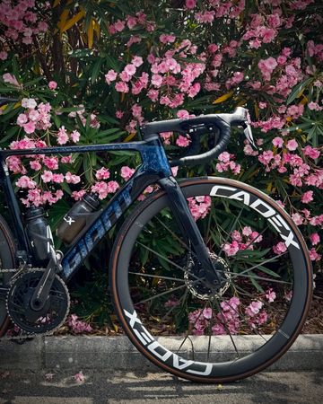 Brugt Giant Propel Advanced SL 0 2023 2023 Road & Gravel — billede 1 af 8
