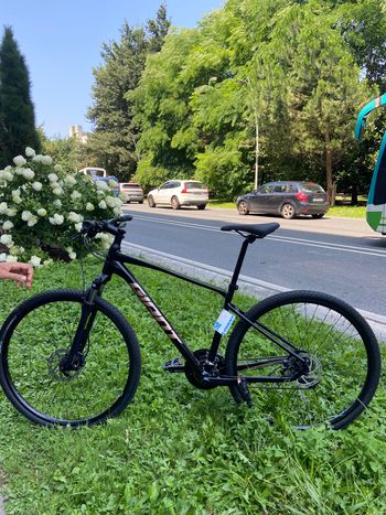 Giant, Roam Disc 4 2024
