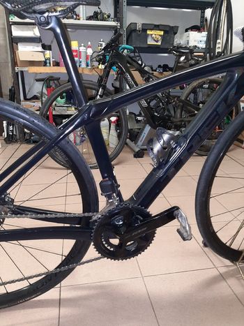 Trek, Domane SL 6 Gen 4 2023