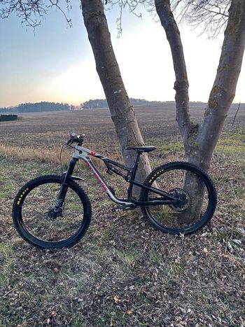 Rocky Mountain, Rocky Mountain Altitude C70 2019