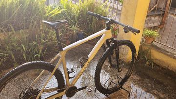 Used Canyon Exceed CF 8 2024 2024 Mountainbike, Light Gray, 29 — image 4 of 6