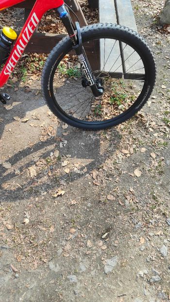Used Specialized Epic Comp 2021 2021 Mountainbike, Red, 29 — image 5 of 9