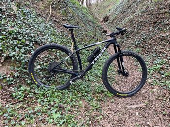 Trek, Procaliber 9.7 2020