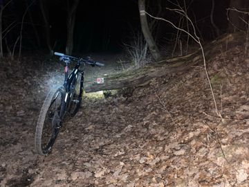Used Trek Procaliber 9.7 2020 2020 Mountainbike, Black, 29 — image 22 of 28
