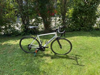 Orbea, AVANT H30 2020