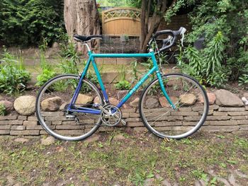 Müsing, Müsing Custom Other Shimano