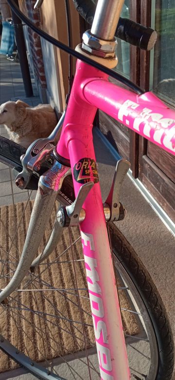 Używany Moser Oria Special 1990 Road & Gravel — zdjęcie 4 z 9
