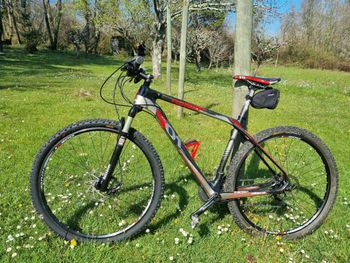 Wilier, VTT Wilier 501 XN