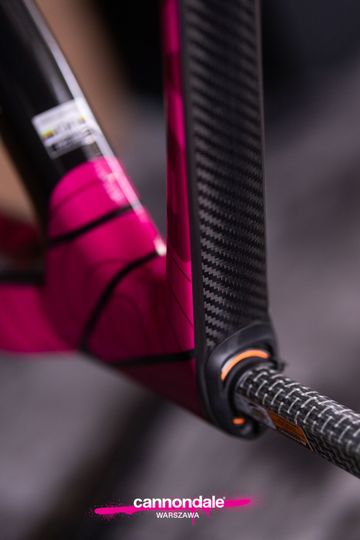 Brugt Cannondale SuperSix EVO LAB71 Team 2026 Frameset 2026 Road & Gravel — billede 2 af 6