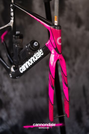 Brugt Cannondale SuperSix EVO LAB71 Team 2026 Frameset 2026 Road & Gravel — billede 6 af 6