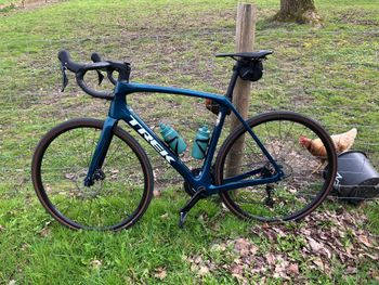 Trek, Domane SL 5 Gen 4 2025
