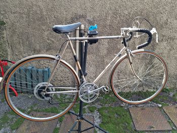 Raleigh, Raleigh Custom Other