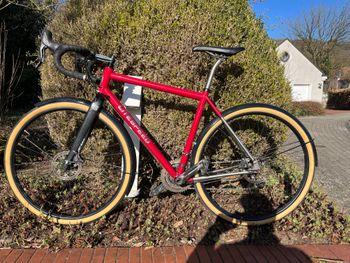 Litespeed, Cherohala Mit Campagnolo H01 Scheibenbremsen