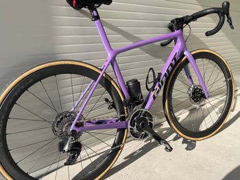 Used Giant Giant Tcr Sl M 2024 Road & Gravel, Purple — image 8 of 10