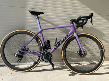 Used Giant Giant Tcr Sl M 2024 Road & Gravel, Purple — image 9 of 10
