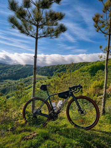 Brugt Orbea TERRA M20iTEAM 2025 2025 Road & Gravel