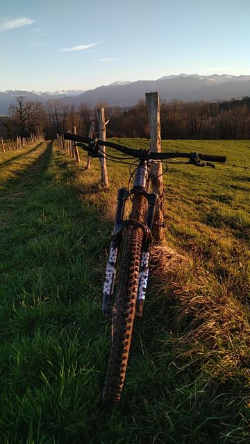 Giant Reign 29 1 2021 Frameset 2021 Mountainbike de segunda mano, Gris claro — imagen 6 de 8