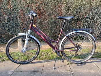 Used noxxon NOXON Breeze FG ND - Kinderfahrrad - 2018 2018 Youth, Purple — image 3 of 8