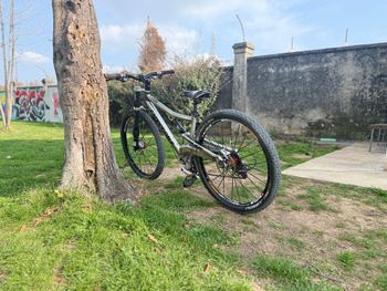 Used Cannondale Cannondale Custom Shimano XTR 2010 Mountainbike, Grigio chiaro — image 6 of 10