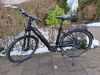 Kettler, Quadriga Enviolo Hub Gear