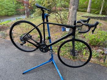 Trek, Checkpoint SL 6 2019
