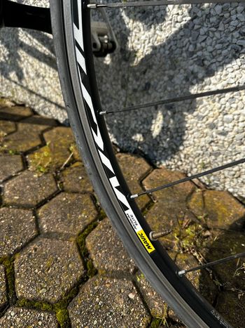 Used Bican Bican Carbon 2019 Road & Gravel, Black — image 8 of 11