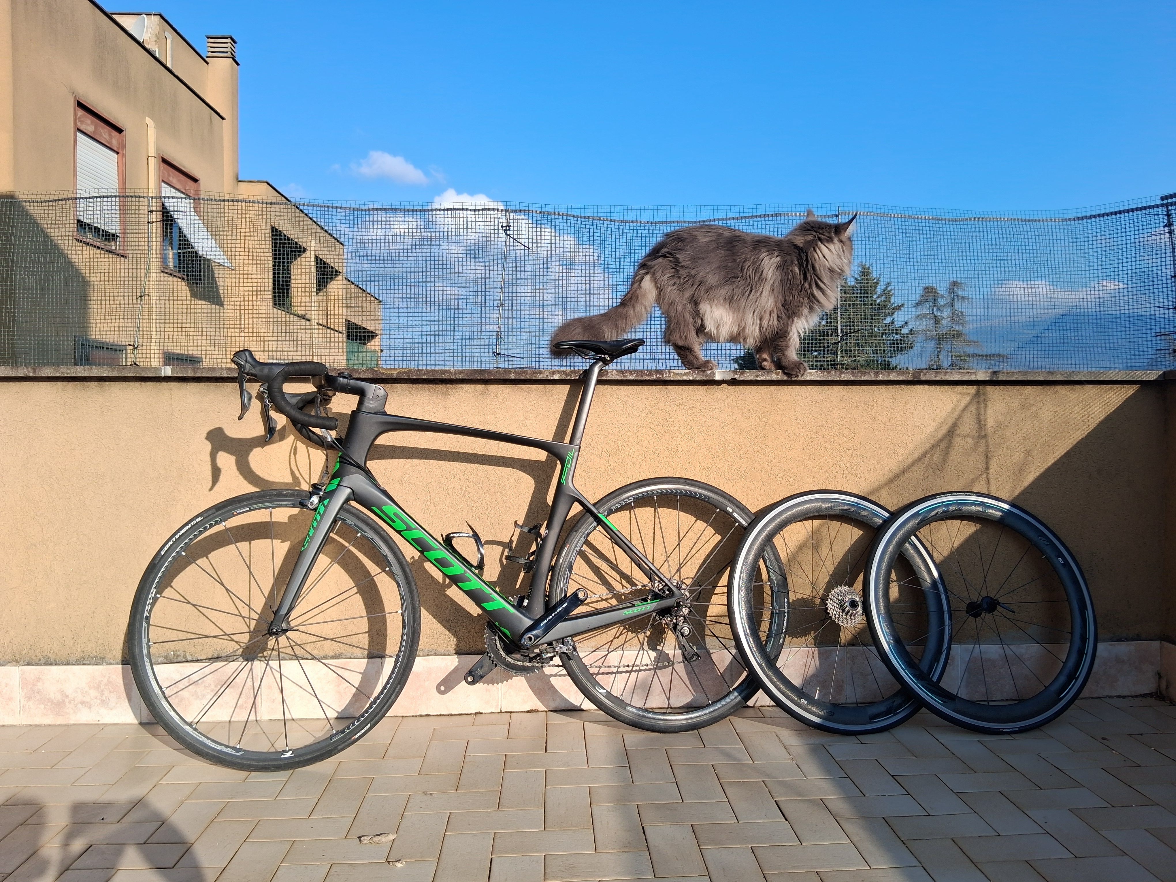 Scott Scott Foil Team Issue 2016 2016