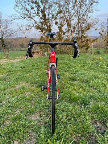 Used Trek Madone Race Shop Limited 2017 2017 Road & Gravel, Rot — image 12 of 14