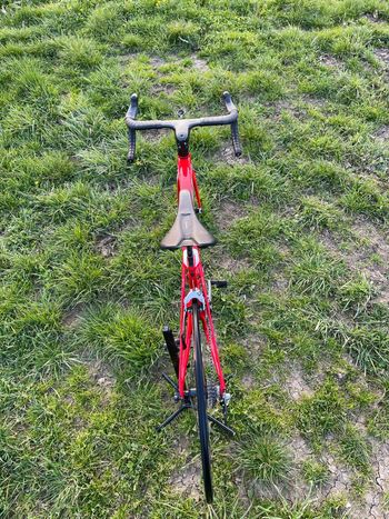 Used Trek Madone Race Shop Limited 2017 2017 Road & Gravel, Rot — image 11 of 14