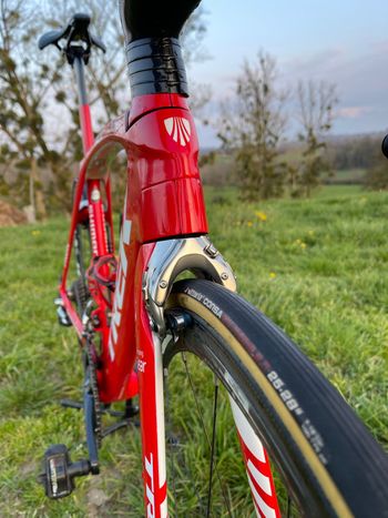 Used Trek Madone Race Shop Limited 2017 2017 Road & Gravel, Rot — image 6 of 14