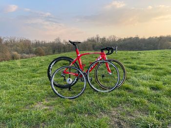 Used Trek Madone Race Shop Limited 2017 2017 Road & Gravel, Rot — image 2 of 14