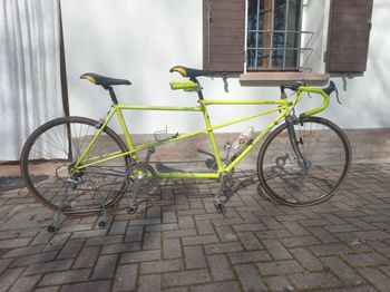 bassan, Tandem Vintage