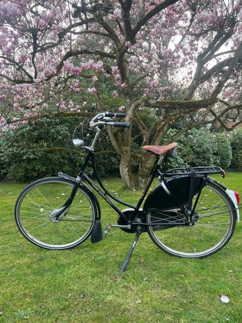 Gazelle, 28" DR Tour Populair Gazelle Schwarz