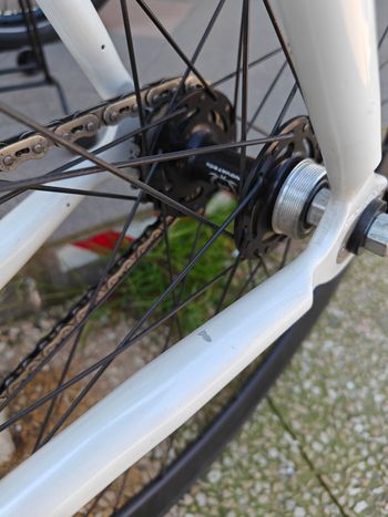 Used kory york Mark T 2017 Road & Gravel — image 22 of 25