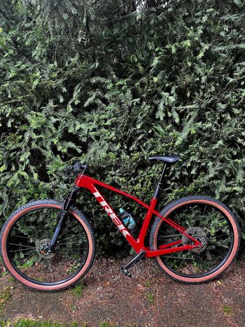 Trek, Procaliber 9.5 Gen 3 2025