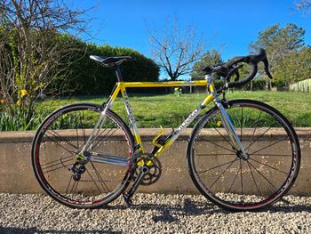 Colnago, Master Olympic Art Decor