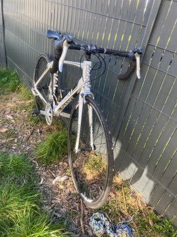 Used Giant Defy 3 2012 2012 Road & Gravel, Weiß — image 2 of 4