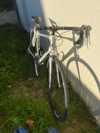 Used Giant Defy 3 2012 2012 Road & Gravel, Weiß — image 4 of 4