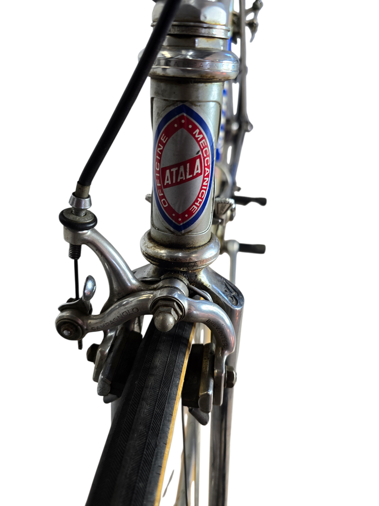 Used Atala Atala Campione Del Mondo - Super Record 1982 Road & Gravel, Grigio chiaro — image 15 of 26