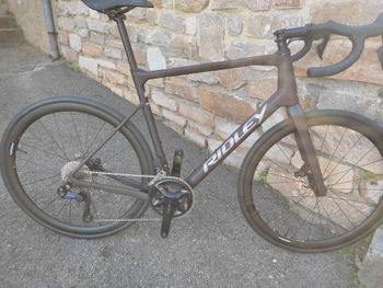 Ridley, Grifn Road 105 2x12 DI2 Forza Carbone 2025