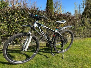 Used Morrison Viper 2015 MTB