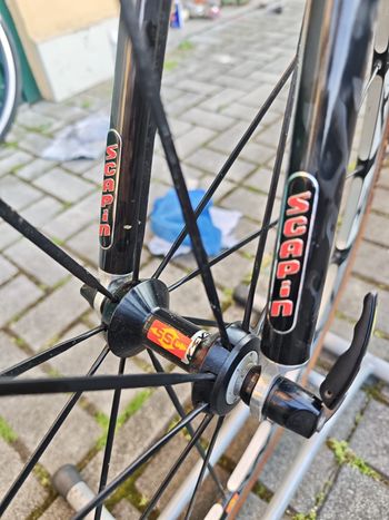Used SCAPIN Eos7 2002 Road & Gravel — image 36 of 40