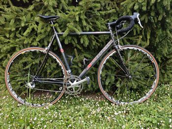 Used SCAPIN Eos7 2002 Road & Gravel — image 1 of 40